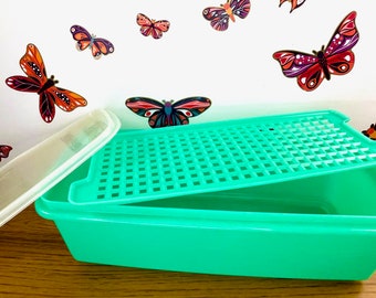 Tupperware Jade Celery Keeper, Vintage Tupperware Lettuce Keeper, Vegetable Crisper