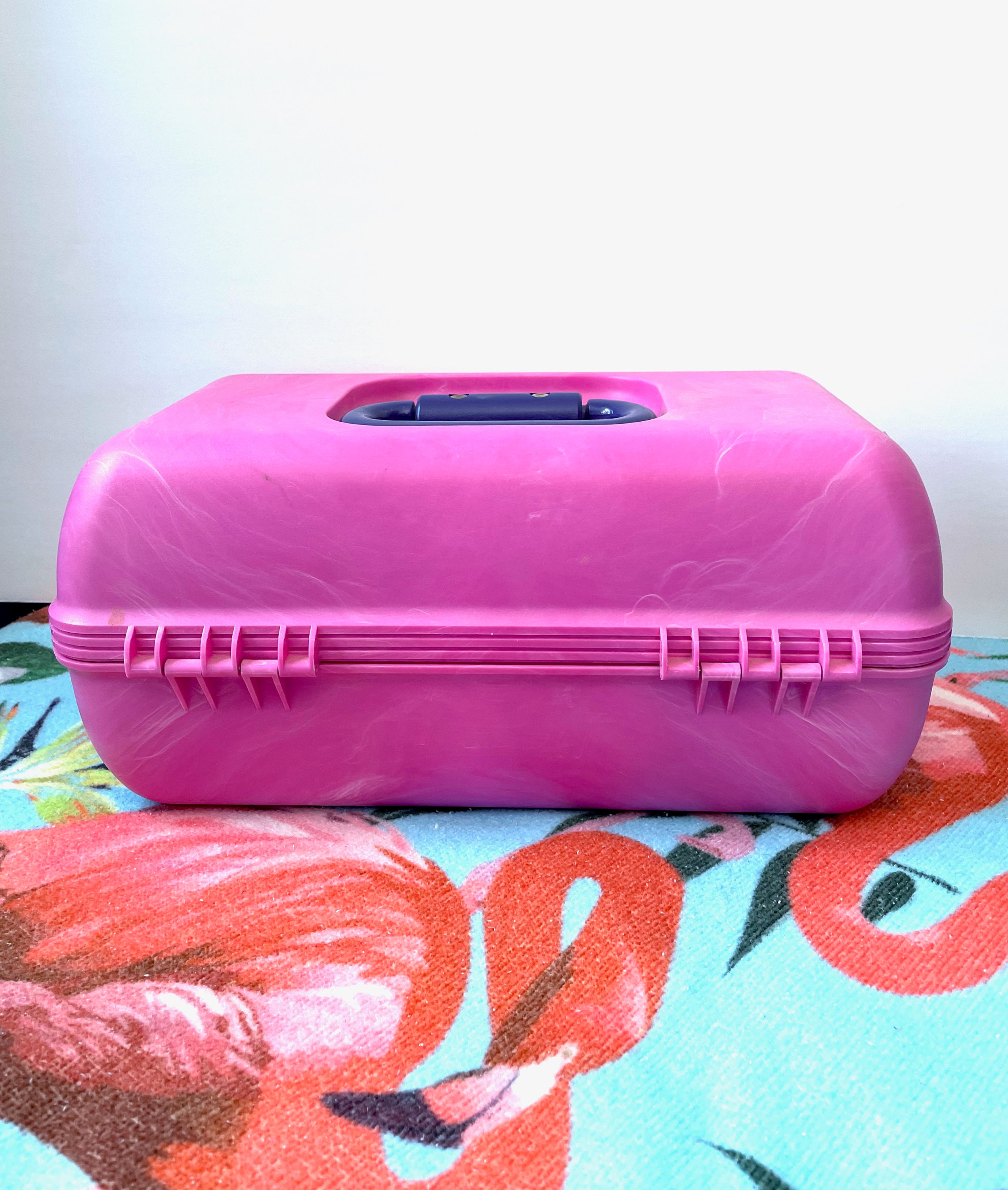 Caboodles Mini Portable Take It Touch Up Make Up Carrier Tote 