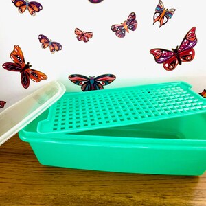 Tupperware Celerey Keeper: Vintage Jade Vegetable Crisper (14.5" x 5.5")