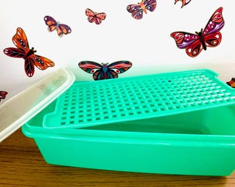 Tupperware and Storage 