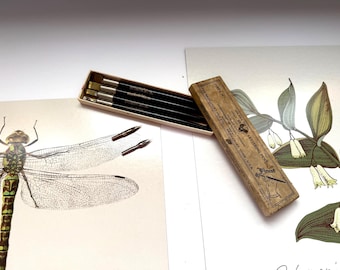 Rare Coits Lettering Pen, Vintage Brass Calligraphy Set - Bridgeport Co. Box, Includes Esterbrook 048 | 322 Nibs