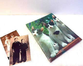 Kitty Photo Album, 1970s Vintage Spiral-Bound, New Old Stock - 11x9, Holds 8x10 Prints, Kittens Illustration