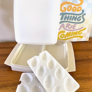Tupperware Deviled Eierträger, Tupperware-Eierablage, Tan Tupperware-Eieraufbewahrung, Tupperware-Eierbehälter