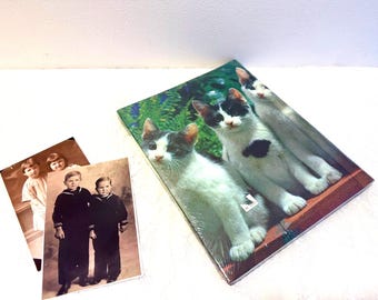 Vintage 1970s Kitty Cat Photo Album: New Old Stock, Spiral Bound