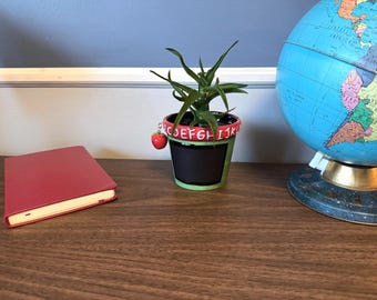 Decor & Collectables