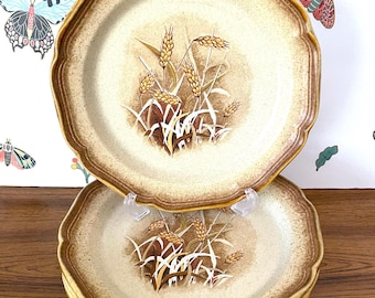7 Mikasa Whole Wheat Granola Dinner Plates, 7 Mikasa Whole Wheat Granola E8001 Dinner Plates, Vintage Wheat Dinner Plates