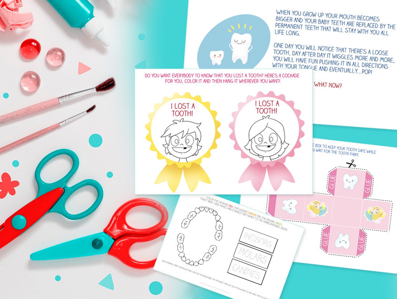 Printable Activity Book MY TEETH Ebook Montessori 3 Parts Etsy