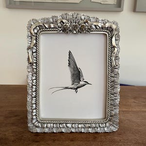 May include: A silver-colored picture frame with a decorative, textured border. The frame holds a black and white image of a bird in flight. The frame has floral and ribbon accents at the top.