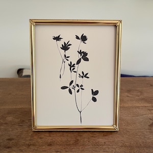 May include: A framed botanical print featuring a black and white floral design. The artwork is set within a gold-colored frame, adding a touch of elegance. The print showcases delicate plant silhouettes against a cream-colored background, suitable for home decor.