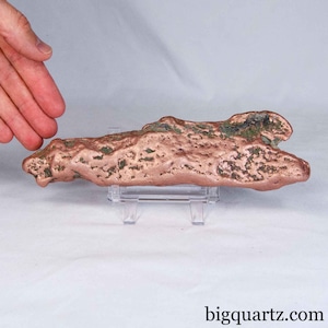 May include: A raw, elongated copper specimen with a metallic, reddish-brown surface and patches of green oxidation. The irregular, textured mineral formation is displayed horizontally on a clear acrylic stand against a plain white background.