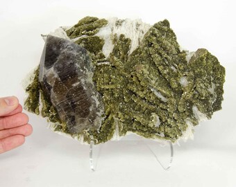 Smoky Quartz, Muscovite, & Albite, 9.3 inches (Brazil #G0524) 5.2 Pounds