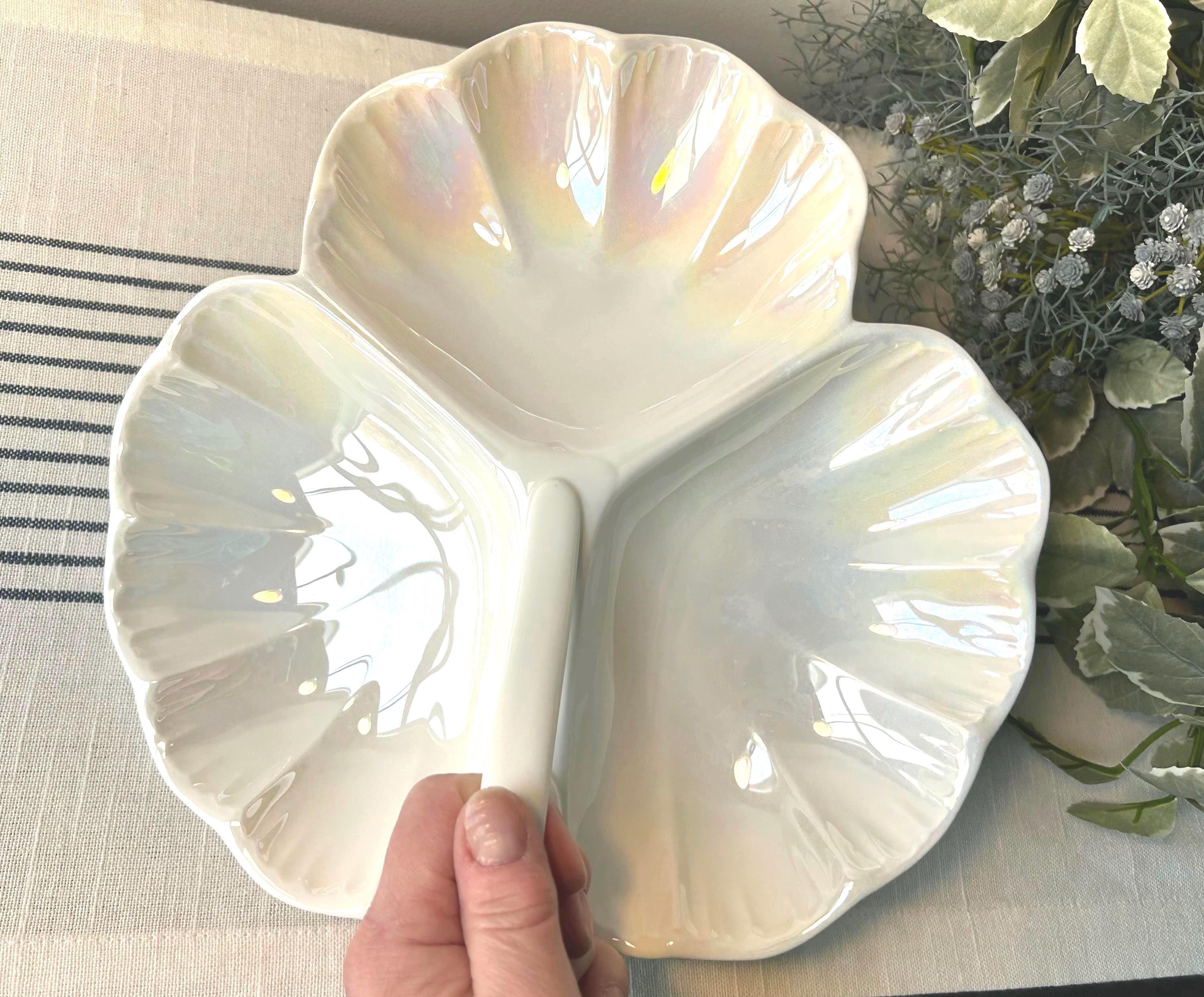 Wedgwood Nautilus Shell - Etsy