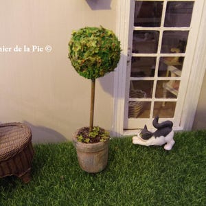 May include: A miniature garden scene featuring a topiary tree with a spherical, green foliage crown in a weathered pot. A black and white cat figurine rests on the artificial grass. A small wicker table and a birdhouse are also present.