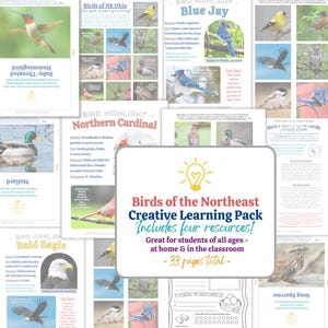 Birds of the Northeast Creative Learning Pack | Nature Study & STEAM PDF