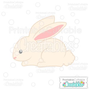 May include: A white rabbit with pink ears and a fluffy tail. The rabbit is sitting on a white background.