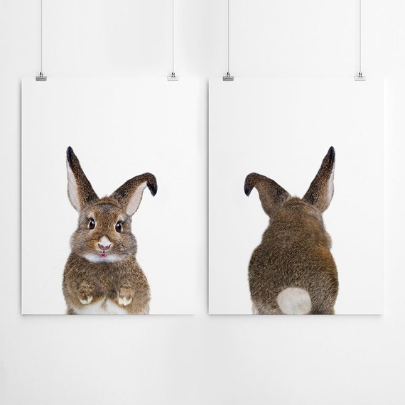 nursery bunny wall art