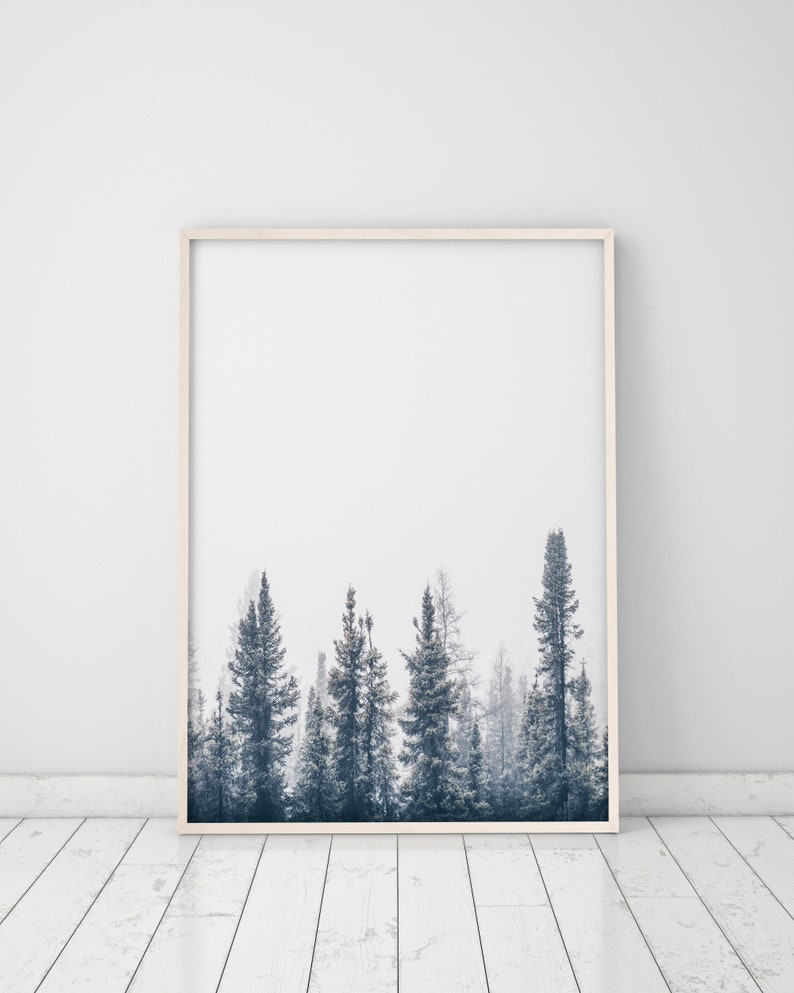 Wall Art Forest Print Printable Forest Art Nature Photography Prints Nature Prints Scenery Prints Forest Wall Art Prints
