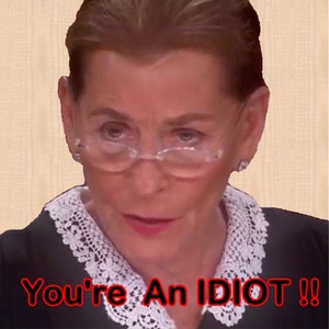 You&#39;re An Idiot Refrigerator Magnet