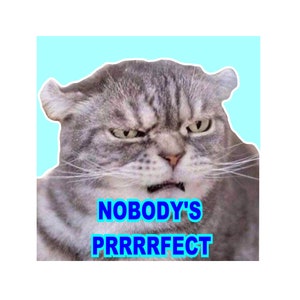 Angry Cat Car Decal-Bumper Sticker-Prrrfect