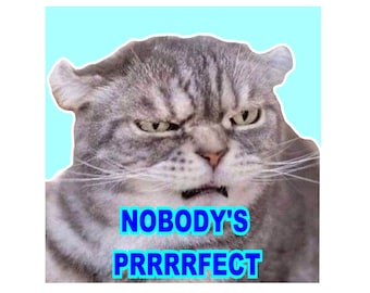 Boze Kat Auto Sticker-Bumper Sticker-Prrrfect