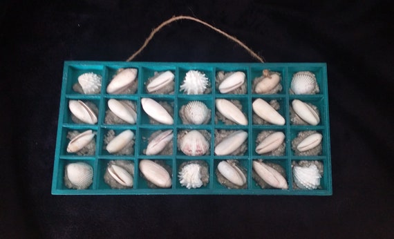 Kusten Dekor Muscheln Meer Blau Grun Schaukasten Wandbehang Etsy
