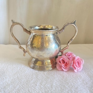 May include: A small, antique silver-plated sugar bowl with two handles. The bowl has a round body and sits on a pedestal base. Three pink carnations are placed next to the bowl. The background is a white, textured surface.