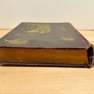 1934 Magica Sexualis Primera Edición Libro de ocultismo Laurent Nagour Falstaff Press Copia limitada numerada Antiguo Raro imagen 14
