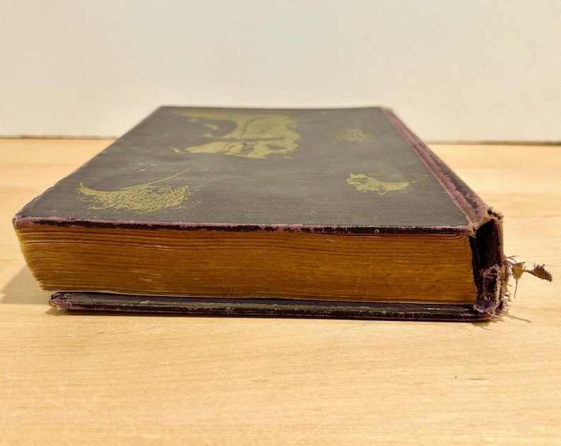 1934 Magica Sexualis Primera Edición Libro de ocultismo Laurent Nagour Falstaff Press Copia limitada numerada Antiguo Raro imagen 14