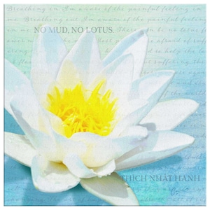 No Mud, No Lotus Canvas Wall Art, Thich Nhat Hanh water lilly inspired quote pefect for mindfulness, meditation, and spiritual reflection