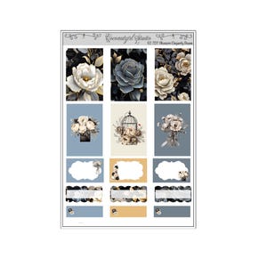 Caixas Blossom Elegantly Two Dollar Tuesday | amostrador | EC Vertical | Happy Planner | Rosas | Preto Branco Azul