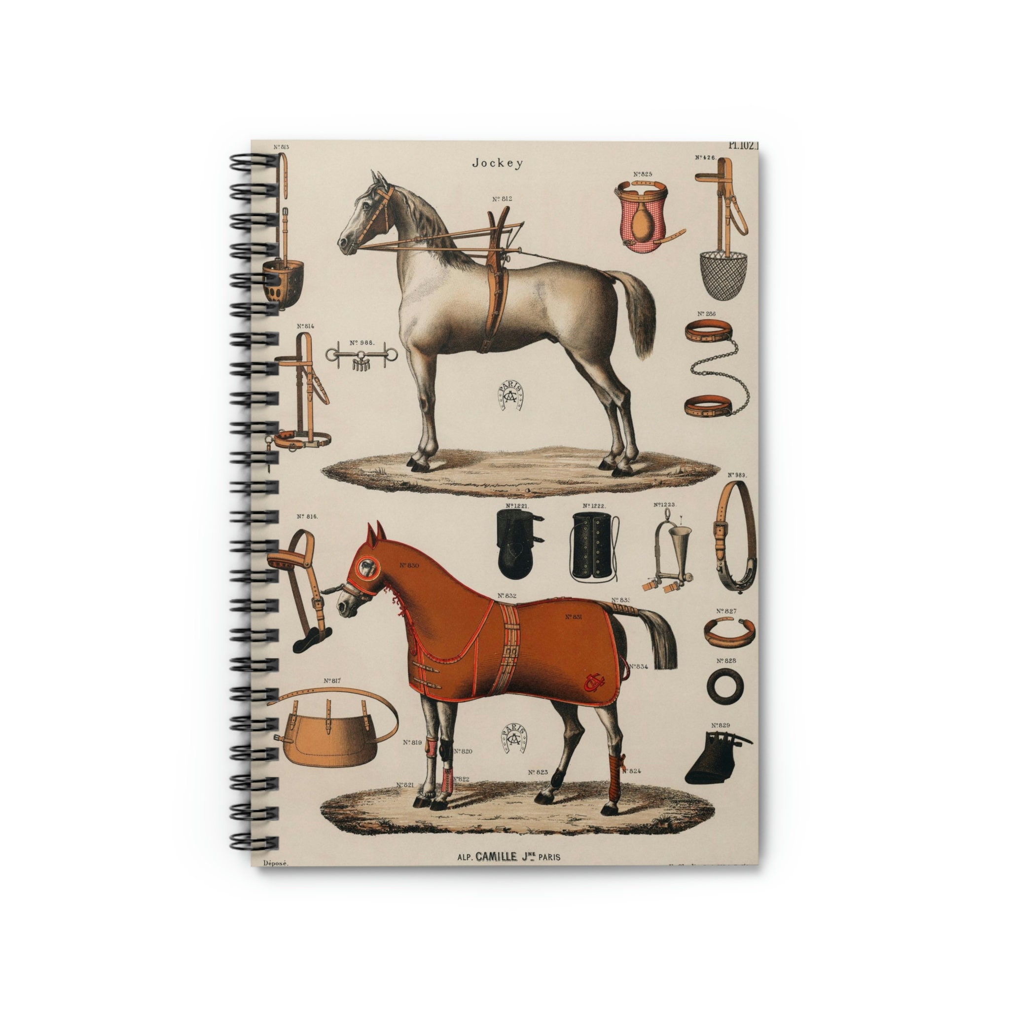 HORSE UNRULED NOTEBOOK: UNRULED, BLANK NOTEBOOK. NO LINES. By