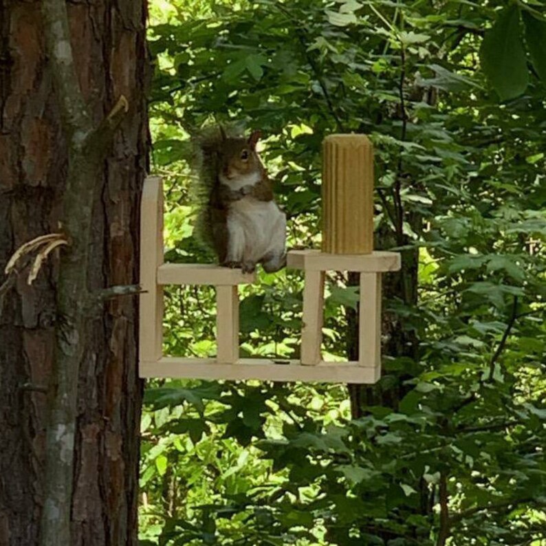 Squirrel Table and Chair Feeder squirrels Furniture Etsy UK