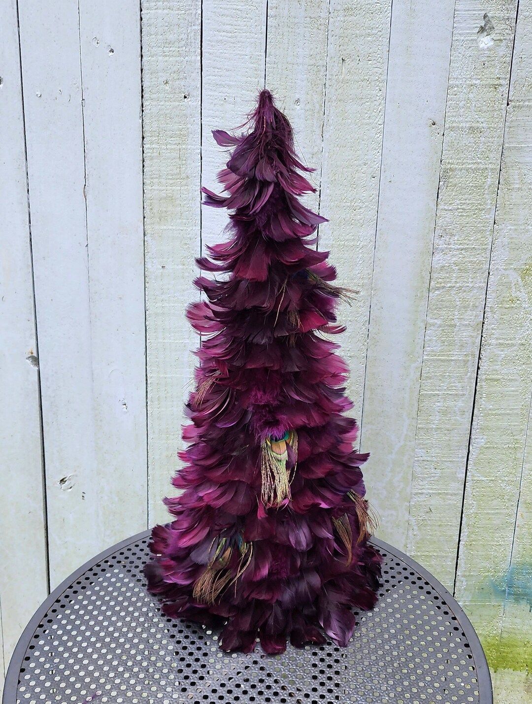 Plum 22 Peacock Feather Cone Tree Feather Peacock Tree Etsy