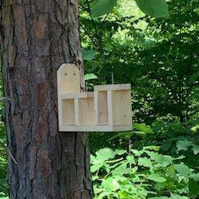 Squirrel Table and Chair Feeder squirrels Furniture Etsy