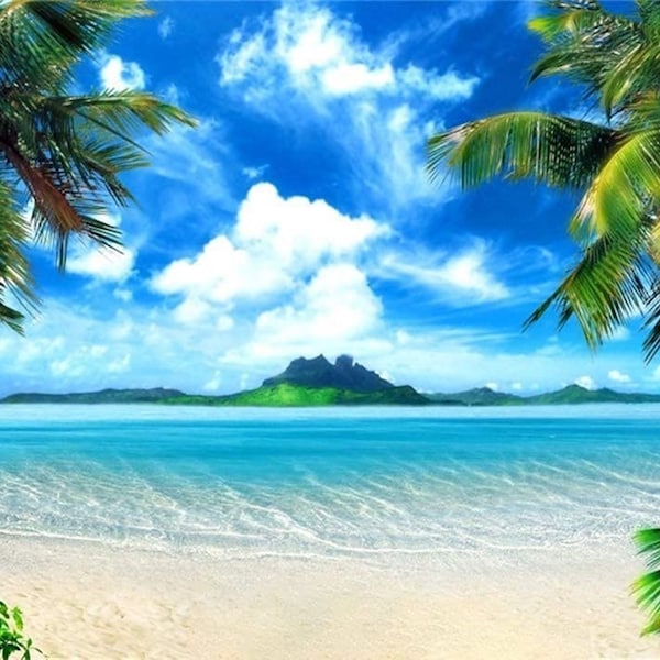 Vinyl Tropical Summer Beach Seaside Palm Island Photography Studio Backdrop Background