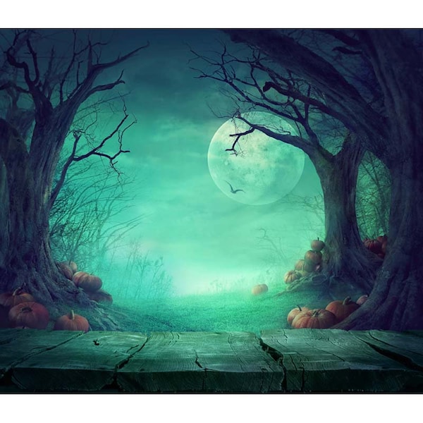Vinyl Halloween Moon Night Photography Studio Backdrop Background