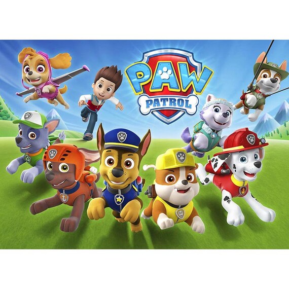 Vinyl Cartoon Dogs Paw Patrol Birthday Photography Backdrop Etsy