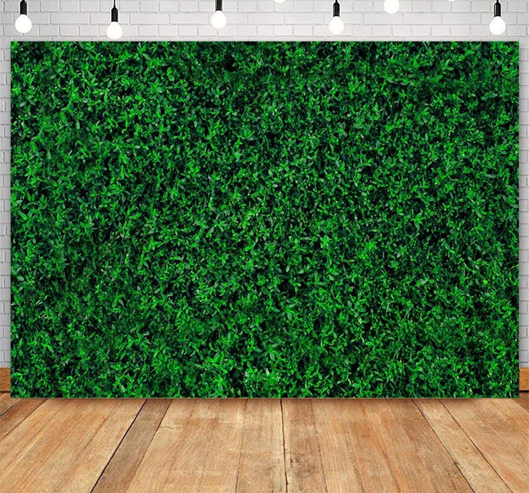 Green Grass Plant Photo Backdrop Springtime Theme For Birthday, Wedding, Newborn Photography From Wangcai09, $10.35