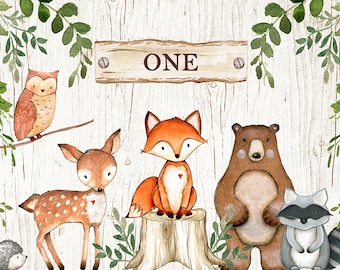 Wald Baby Dusche ersten 1 Geburtstag Dschungel Tiere Fotografie Studio Hintergrund Banner Hintergrund