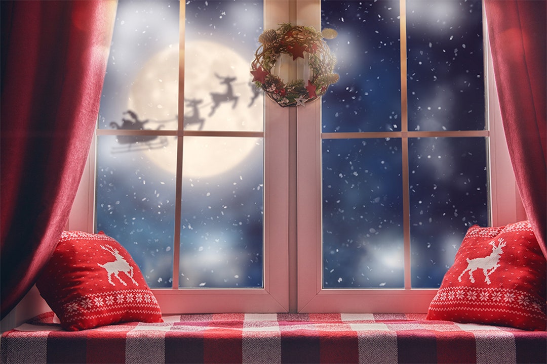 Christmas Window Moon Night Reindeer Photography Studio Backdrop ...