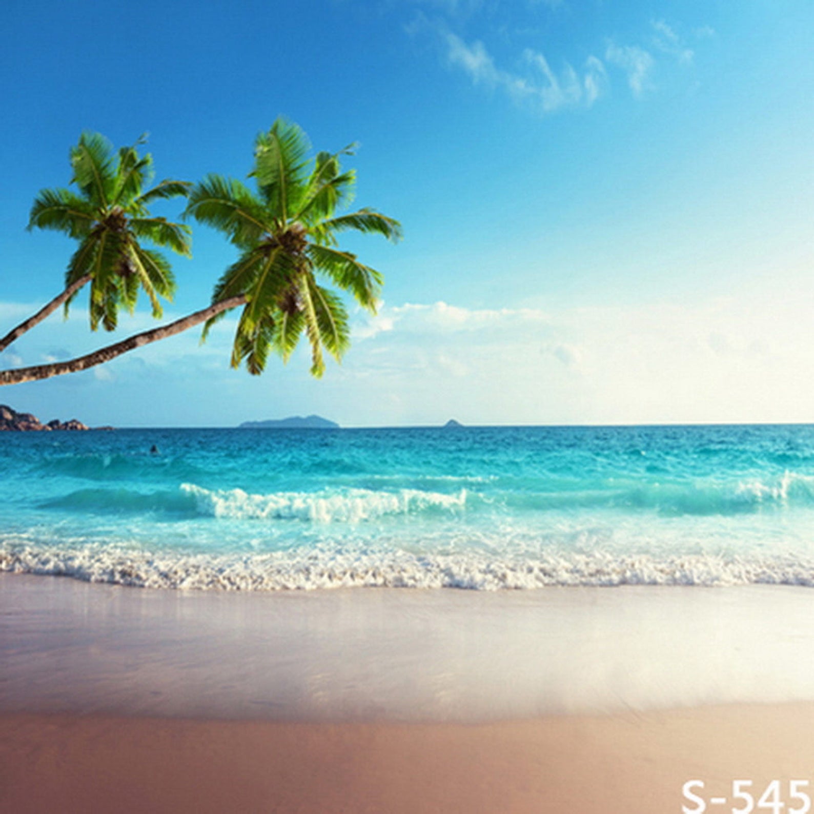 Summer Sea Side Beach Palm Photography Studio Backdrop - Etsy