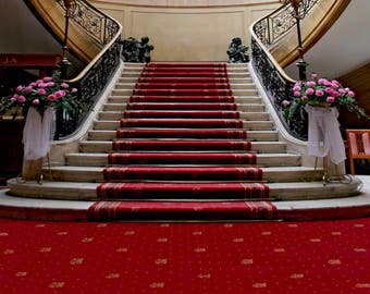 Wedding Palace Stairway Interior Red Carpet Photography Studio Backdrop Background