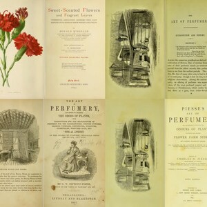 K&ouml;nnte beinhalten: Eine Collage aus sechs Vintage-Buchcovern auf einem vergilbten Hintergrund. Die Cover zeigen Illustrationen von Blumen, einem Geb&auml;ude und einer Frau. Die Titel lauten "Sweet-Scented Flowers and Fragrant Leaves", "The Art of Perfumery, The Odors of Plants" und "Piesse's Art of Perfumery, Odours of Plants, Flower Farm System".