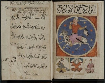 Rare Islamic Manuscripts: Ancient Science, Math, Medicine (52 Old Books on DVD)