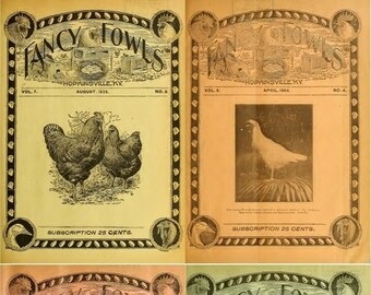 May include: Four vintage magazine covers for "Fancy Fowls" magazine, featuring illustrations of chickens, a pigeon, and turkeys. The covers are dated August 1933, April 1904, June 1904, and November 1993. Each cover has a subscription price of 25 cents.
