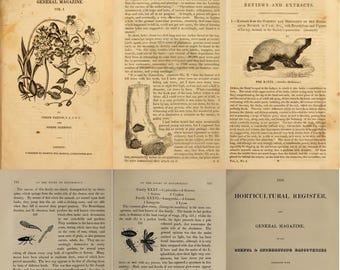 The Horticultural Register and General Issue (1831-1836) - 5 Rare Old Volumes (Digital Download)