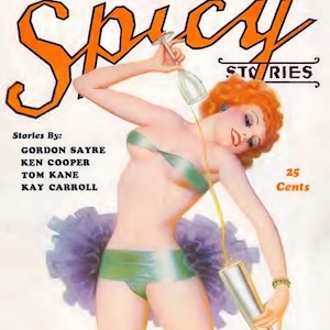 Spicy Stories Magazine Covers: Vintage Pin-Up Art (Digital Download - 116 Images)