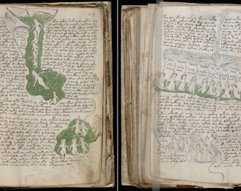 Het mysterieuze Voynich-manuscriptcijfer, cryptografie, onopgeloste code – OP dvd