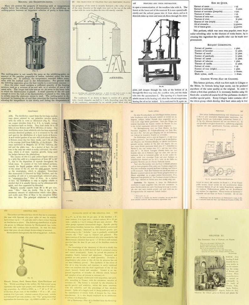 K&ouml;nnte beinhalten: Eine Vintage-Buchseite mit Illustrationen und Text &uuml;ber die Herstellung von K&ouml;lnisch Wasser. Der Text beschreibt die Zutaten und den Prozess zur Herstellung von K&ouml;lnisch Wasser, einschlie&szlig;lich der Verwendung von &auml;therischen &Ouml;len und botanischen Extrakten. Die Seite enth&auml;lt auch ein Diagramm einer Destillationsanlage.