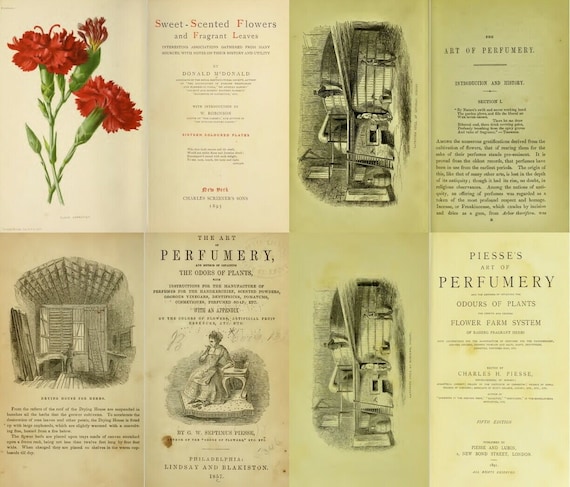 Rare Perfume & Essential Oils Books Collection (Digital Download)